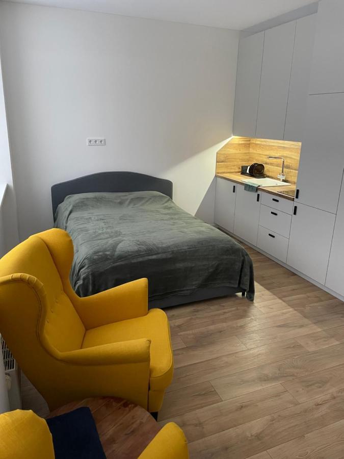 Airport Lux Apartment 30 Self Check-In Free Parking Vilnius Ngoại thất bức ảnh